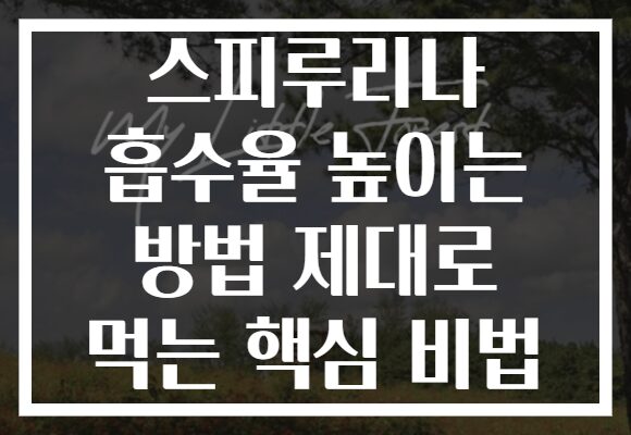 스피루리나 흡수율 높이는 방법 제대로 먹는 핵심 비법