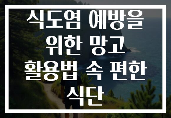 식도염 예방을 위한 망고 활용법 속 편한 식단