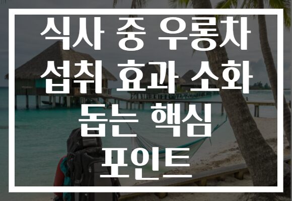 식사 중 우롱차 섭취 효과 소화 돕는 핵심 포인트