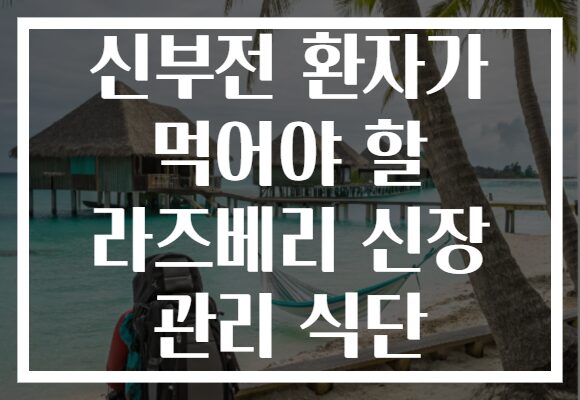 신부전 환자가 먹어야 할 라즈베리 신장 관리 식단
