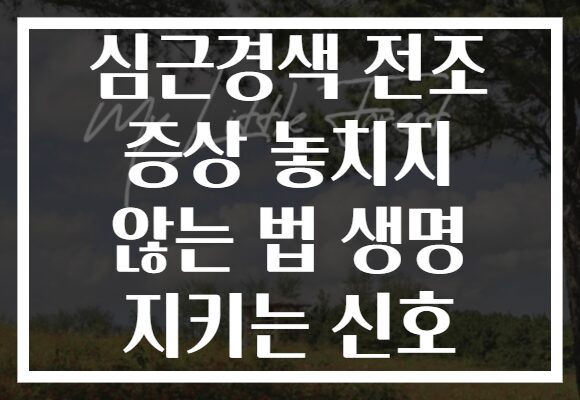 심근경색 전조 증상 놓치지 않는 법 생명 지키는 신호