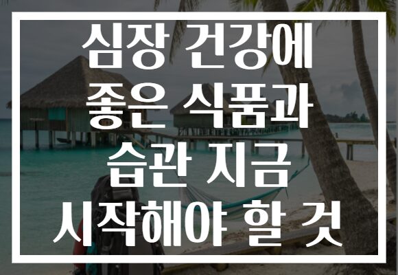 심장 건강에 좋은 식품과 습관 지금 시작해야 할 것