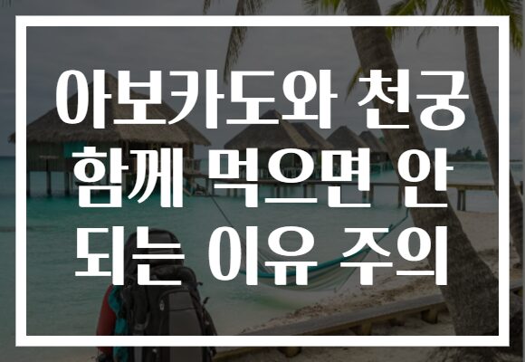아보카도와 천궁 함께 먹으면 안 되는 이유 주의