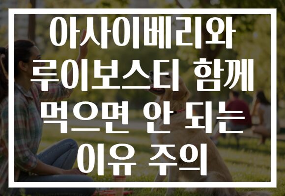 아사이베리와 루이보스티 함께 먹으면 안 되는 이유 주의