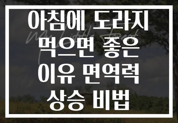 아침에 도라지 먹으면 좋은 이유 면역력 상승 비법