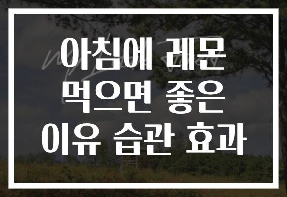 아침에 레몬 먹으면 좋은 이유 습관 효과