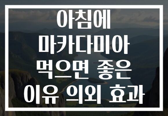 아침에 마카다미아 먹으면 좋은 이유 의외 효과