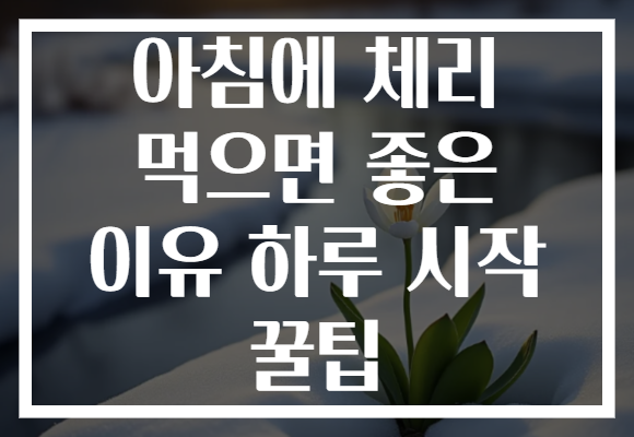 아침에 체리 먹으면 좋은 이유 하루 시작 꿀팁