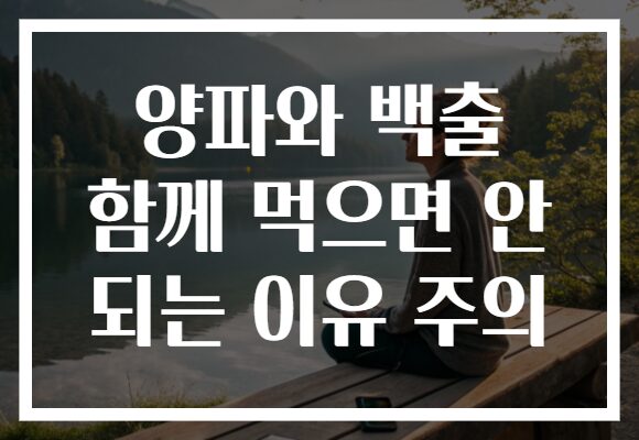 양파와 백출 함께 먹으면 안 되는 이유 주의