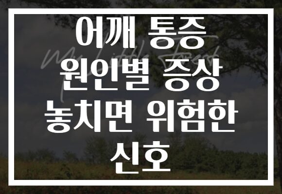 어깨 통증 원인별 증상 놓치면 위험한 신호