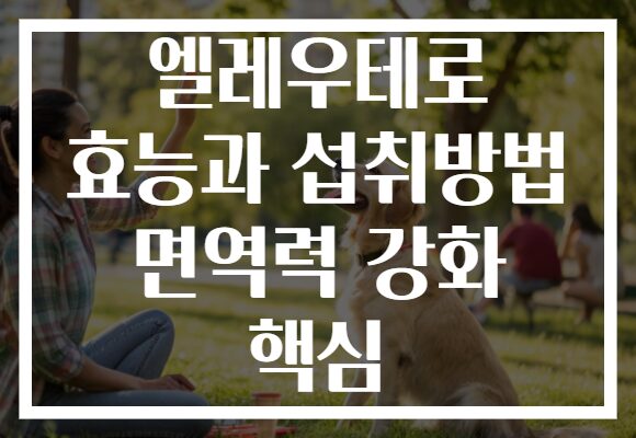 엘레우테로 효능과 섭취방법 면역력 강화 핵심