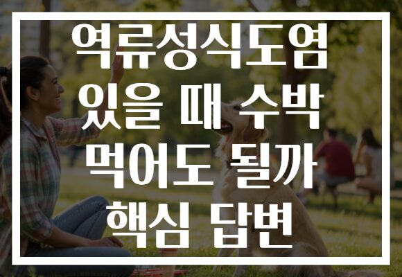 역류성식도염 있을 때 수박 먹어도 될까 핵심 답변