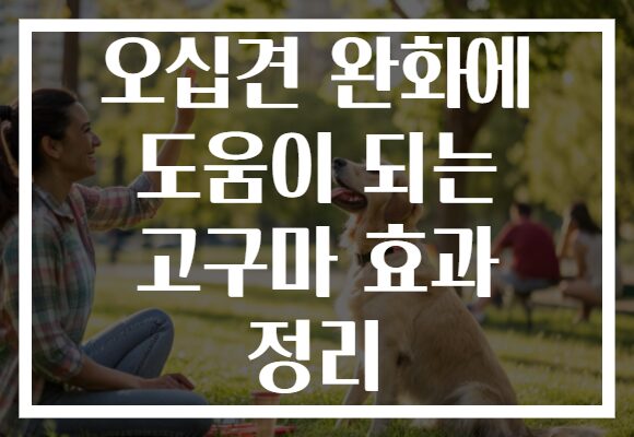 오십견 완화에 도움이 되는 고구마 효과 정리