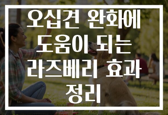 오십견 완화에 도움이 되는 라즈베리 효과 정리