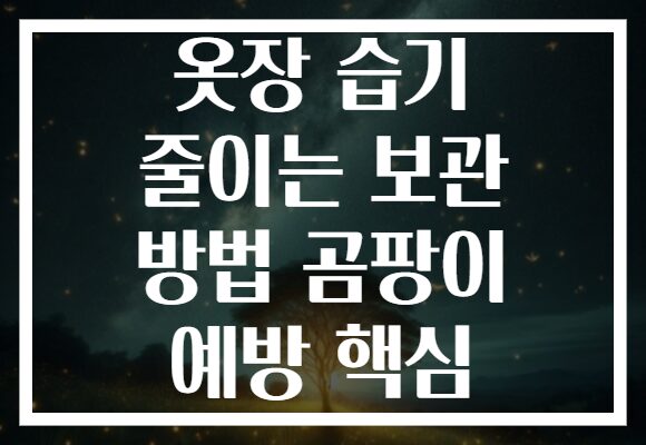 옷장 습기 줄이는 보관 방법 곰팡이 예방 핵심