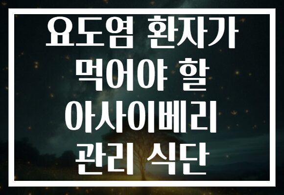 요도염 환자가 먹어야 할 아사이베리 관리 식단