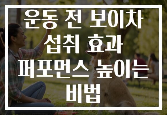 운동 전 보이차 섭취 효과 퍼포먼스 높이는 비법
