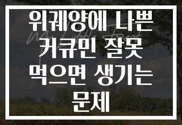 위궤양에 나쁜 커큐민 잘못 먹으면 생기는 문제