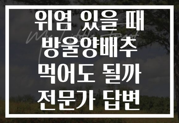 위염 있을 때 방울양배추 먹어도 될까 전문가 답변