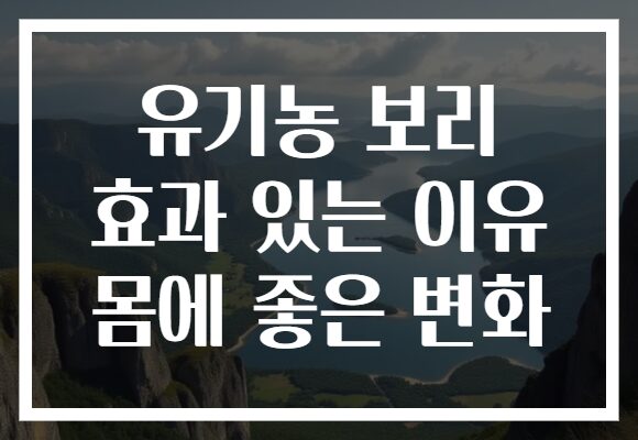 유기농 보리 효과 있는 이유 몸에 좋은 변화