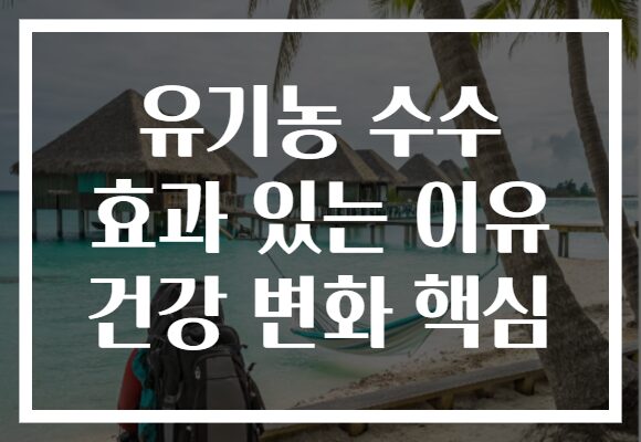 유기농 수수 효과 있는 이유 건강 변화 핵심