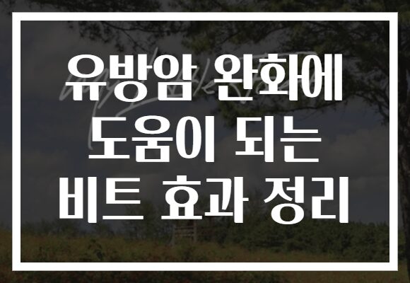 유방암 완화에 도움이 되는 비트 효과 정리