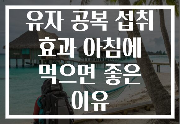 유자 공복 섭취 효과 아침에 먹으면 좋은 이유