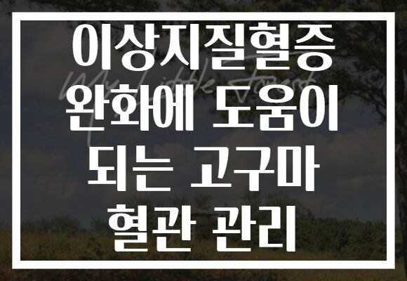이상지질혈증 완화에 도움이 되는 고구마 혈관 관리