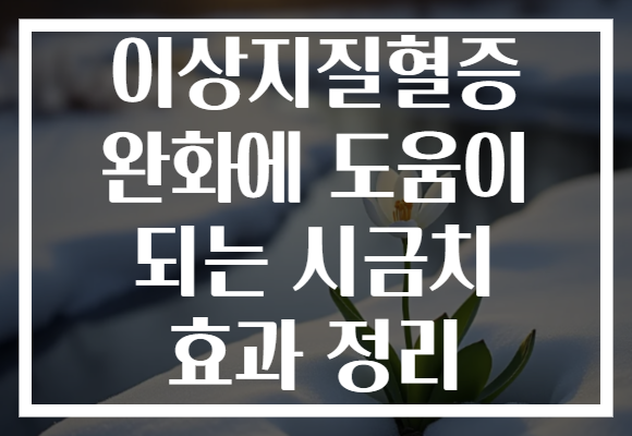 이상지질혈증 완화에 도움이 되는 시금치 효과 정리