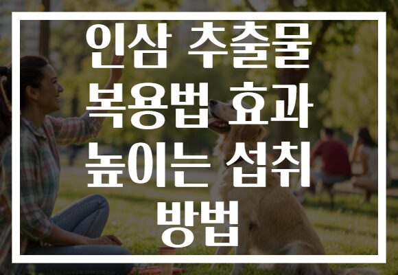 인삼 추출물 복용법 효과 높이는 섭취 방법