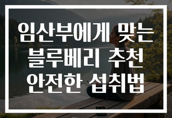 임산부에게 맞는 블루베리 추천 안전한 섭취법