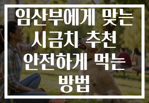 임산부에게 맞는 시금치 추천 안전하게 먹는 방법