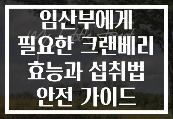 임산부에게 필요한 크랜베리 효능과 섭취법 안전 가이드