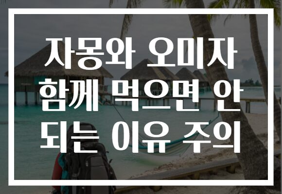 자몽와 오미자 함께 먹으면 안 되는 이유 주의