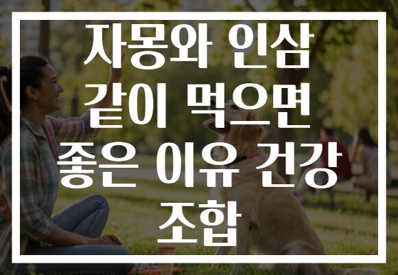 자몽와 인삼 같이 먹으면 좋은 이유 건강 조합