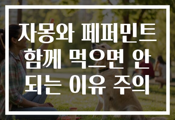 자몽와 페퍼민트 함께 먹으면 안 되는 이유 주의