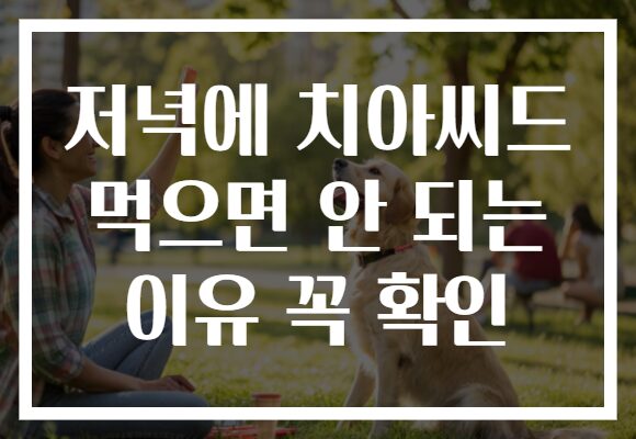 저녁에 치아씨드 먹으면 안 되는 이유 꼭 확인