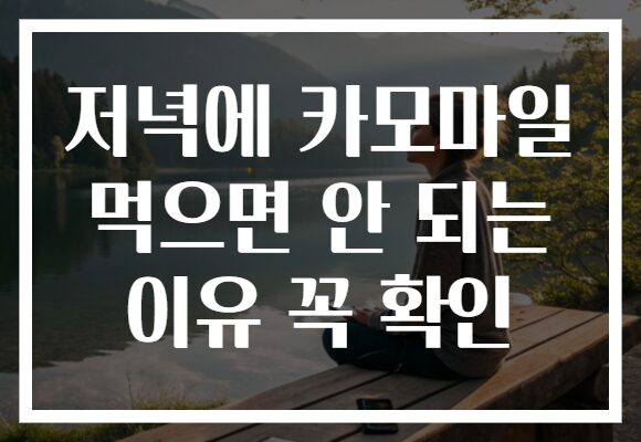 저녁에 카모마일 먹으면 안 되는 이유 꼭 확인