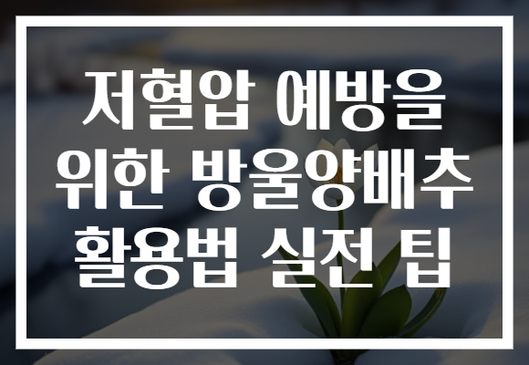 저혈압 예방을 위한 방울양배추 활용법 실전 팁