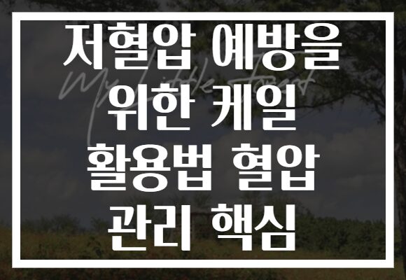 저혈압 예방을 위한 케일 활용법 혈압 관리 핵심