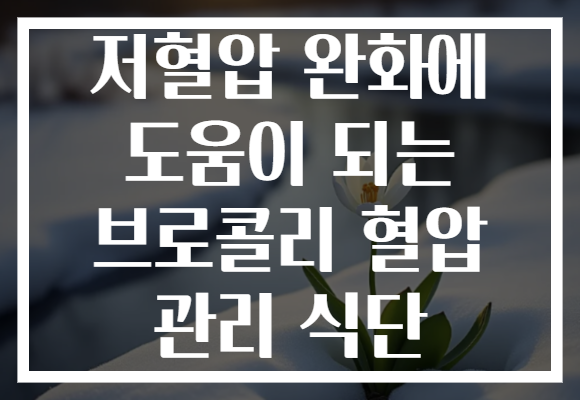 저혈압 완화에 도움이 되는 브로콜리 혈압 관리 식단