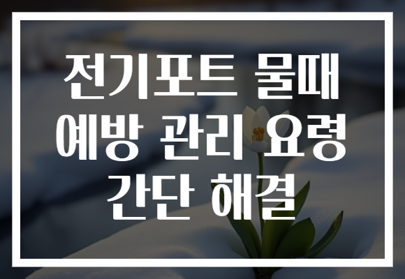 전기포트 물때 예방 관리 요령 간단 해결