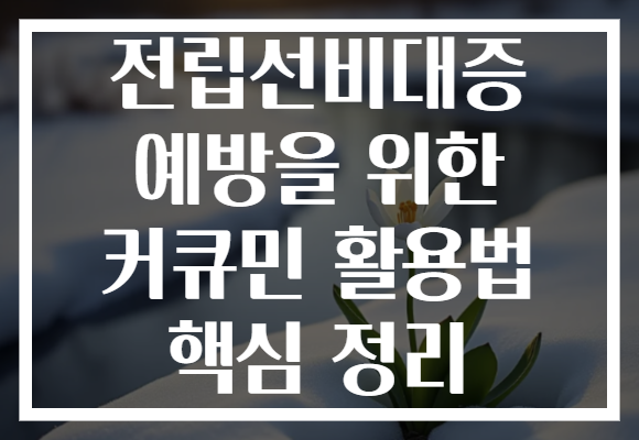 전립선비대증 예방을 위한 커큐민 활용법 핵심 정리