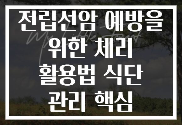 전립선암 예방을 위한 체리 활용법 식단 관리 핵심