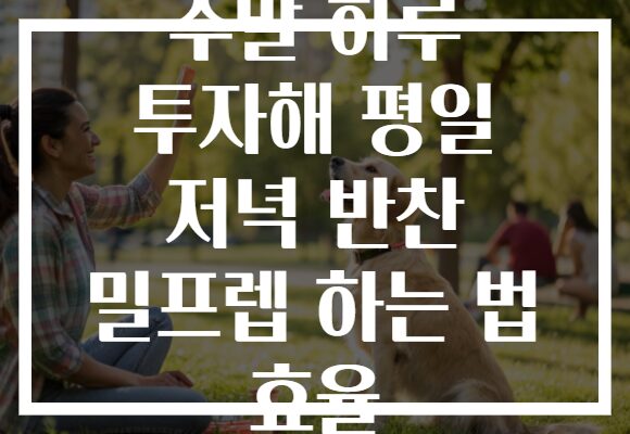 주말 하루 투자해 평일 저녁 반찬 밀프렙 하는 법 효율