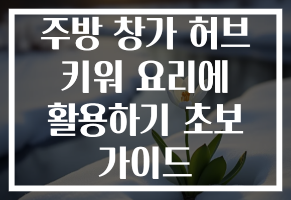주방 창가 허브 키워 요리에 활용하기 초보 가이드