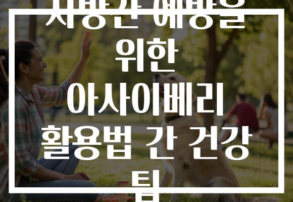 지방간 예방을 위한 아사이베리 활용법 간 건강 팁