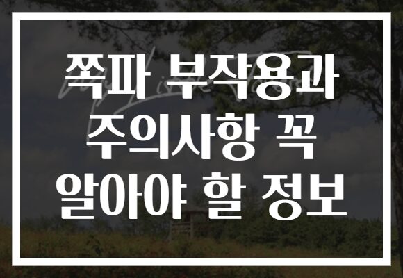 쪽파 부작용과 주의사항 꼭 알아야 할 정보