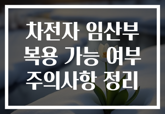 차전자 임산부 복용 가능 여부 주의사항 정리