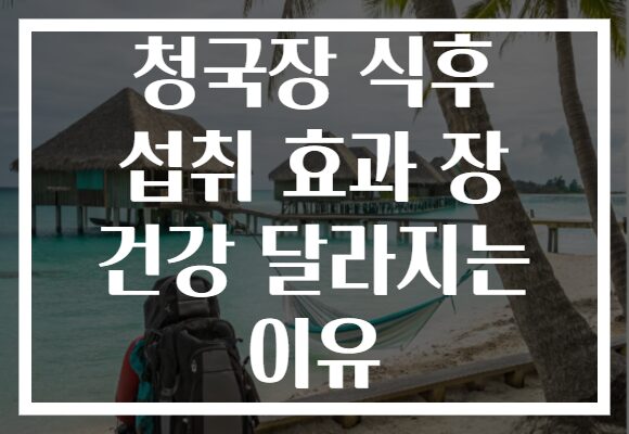 청국장 식후 섭취 효과 장 건강 달라지는 이유